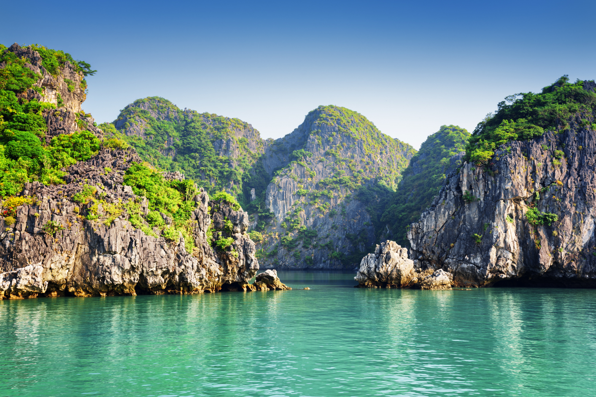 lan ha bay.webp